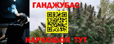 винт Новозыбков