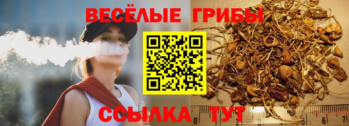 Галлюциногенные грибы Psilocybine cubensis  Вход с VPN  Узловая  Псилоцибиновые грибы GOLDEN TEACHER 